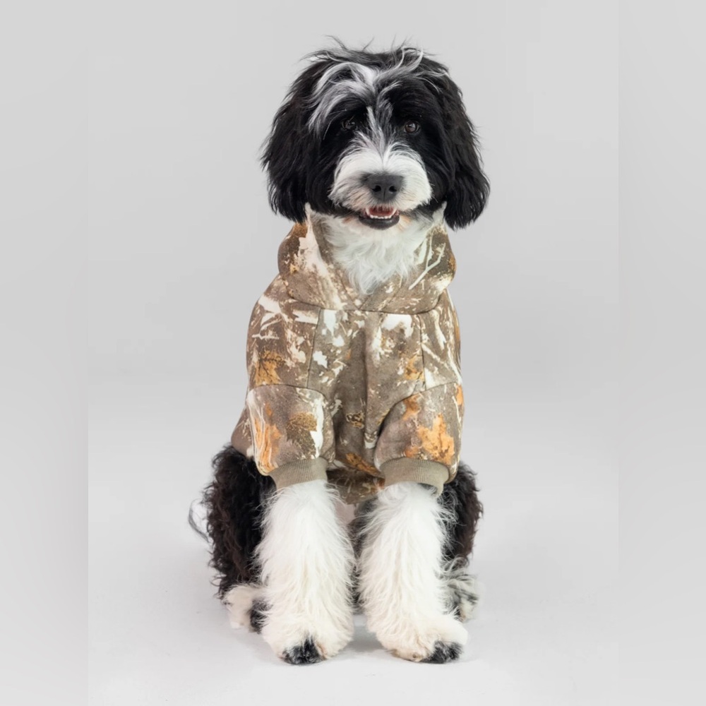 Comfrt camo dog hoodie 3XL